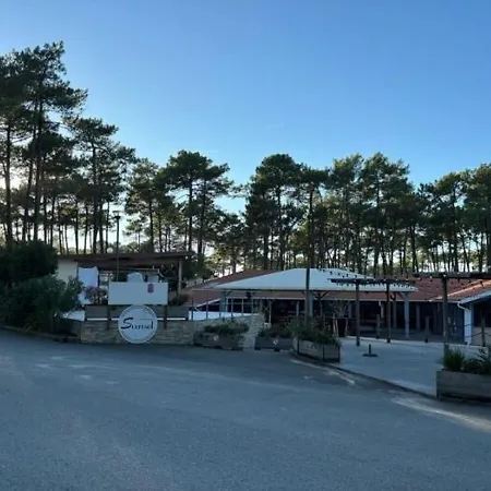 Les Oyats 4 Etoiles Emplacement Aj17 2ch 2sdb 6 Pers * Seignosse