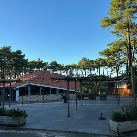 Les Oyats 4 Etoiles Emplacement Aj17 2ch 2sdb 6 Pers Seignosse